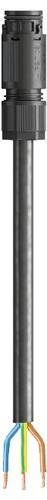 Wieland Electric 4L.437.4033.1 Anschlussleitung Schwarz