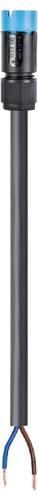 Wieland Electric 4L.427.1034.9 Anschlussleitung Schwarz