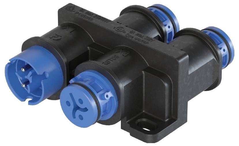 Wieland Electric 4L.020.0143.9 Verteiler