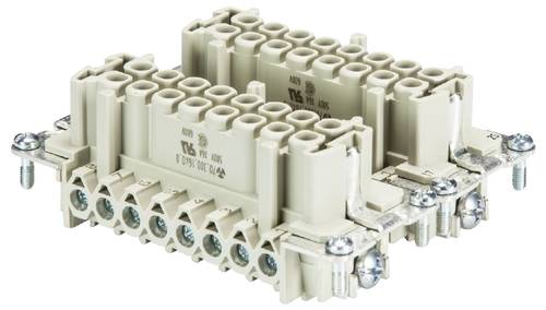 Wieland Electric 70.300.3202.0 Buchseneinsatz Gesamtpolzahl 32 1 St.
