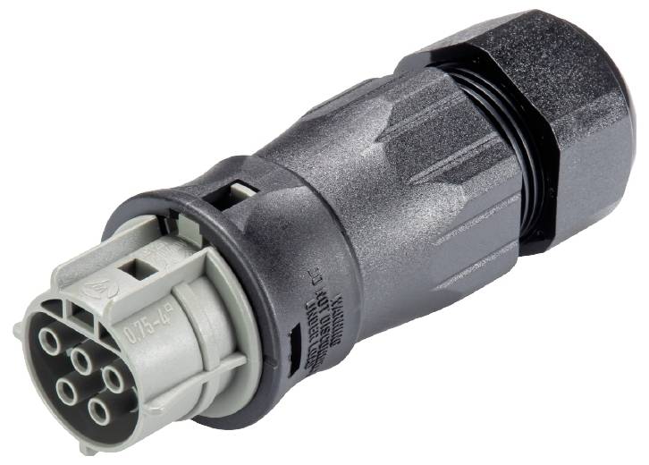 Wieland Electric 96.051.4554.3 Steckverbinder