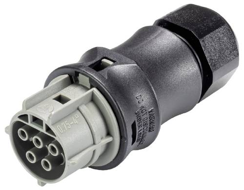 Wieland Electric 96.051.4154.3 Steckverbinder