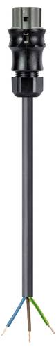 Wieland Electric 96.834.4033.3 Anschlussleitung Schwarz