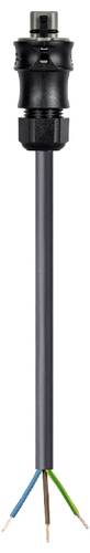 Wieland Electric 96.834.1034.3 Anschlussleitung Schwarz