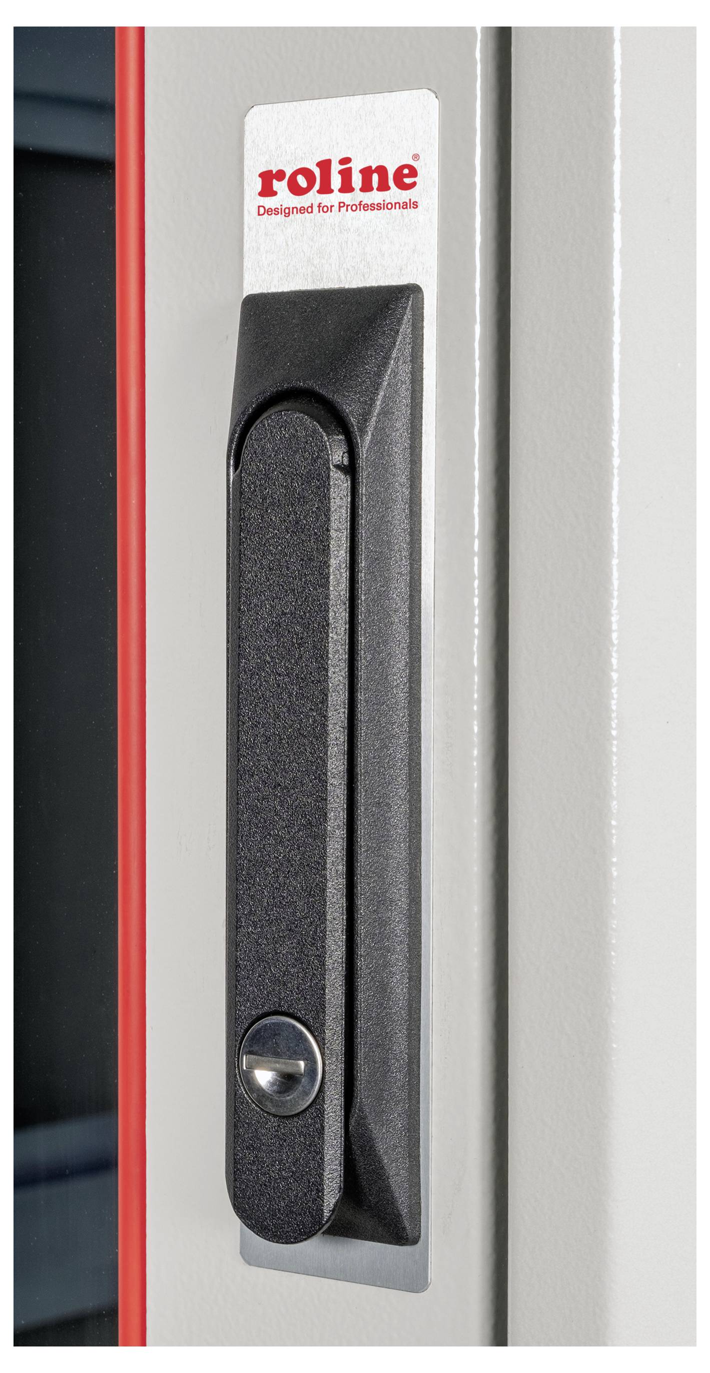 Griff einer Tür mit Aufschrift 'roline Designed for Professionals' oben. Der Griff ist in einem vertikalen Rechteck eingelassen.