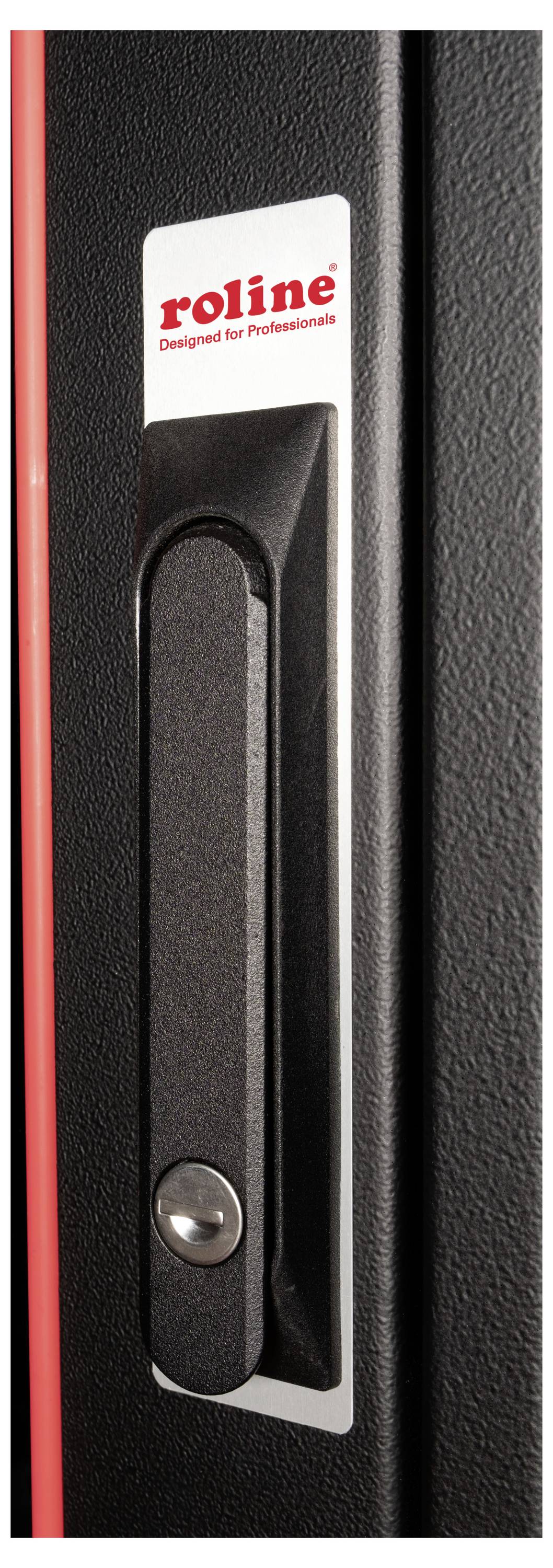 Ein schwarzer Türgriff mit Schloss an einem Gehäuse, daneben das Logo 'roline' mit dem Slogan 'Designed for Professionals'.