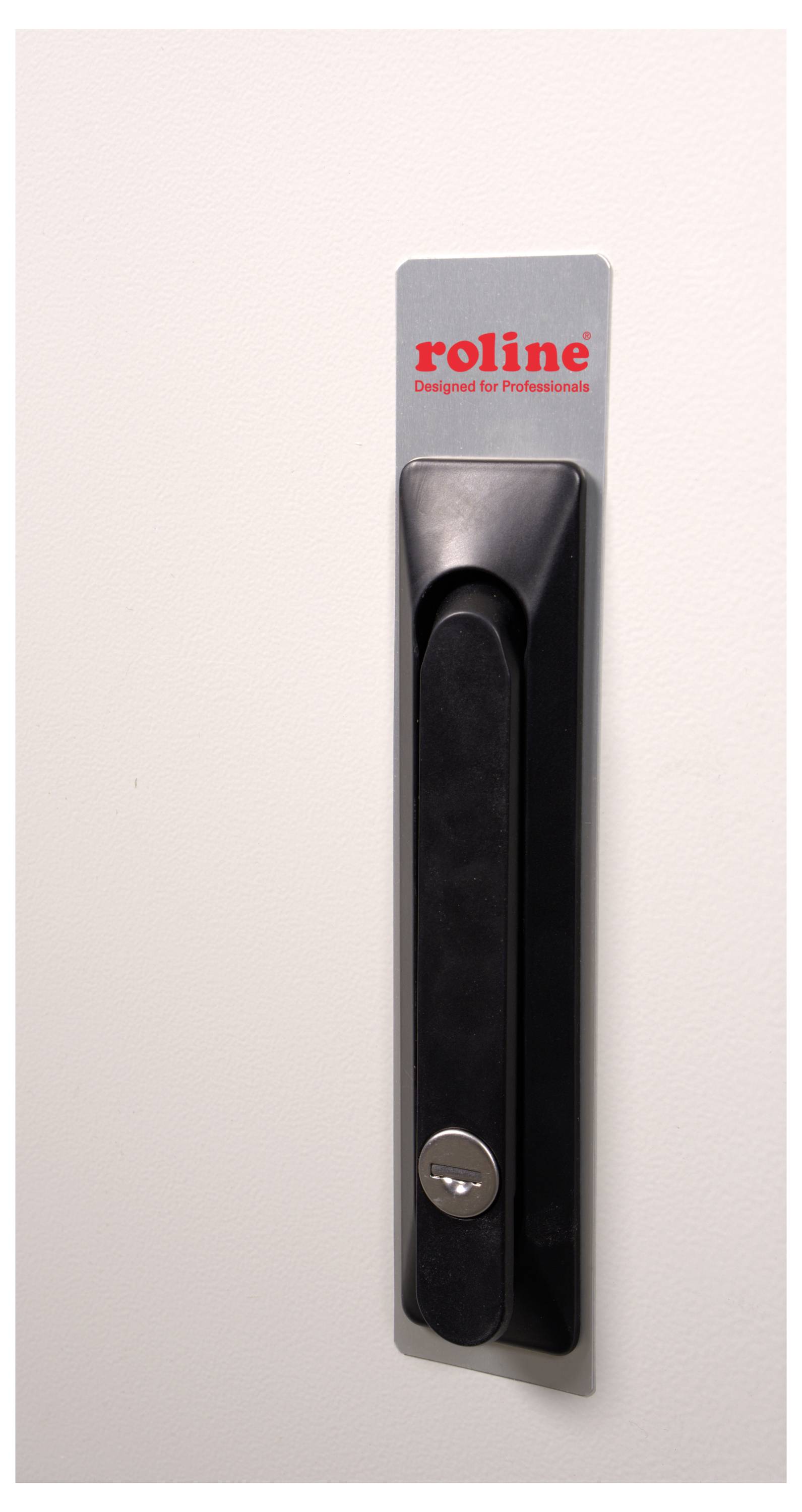 Türgriff mit rotem 'roline' Logo oben, silberner Hintergrund.