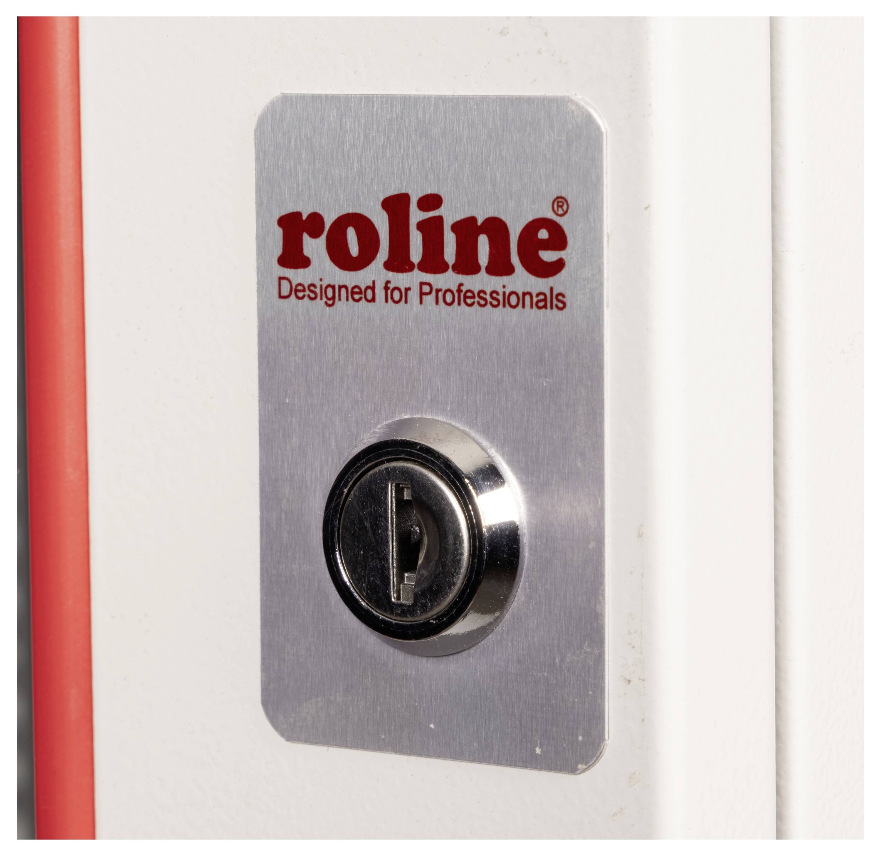 Eine Nahaufnahme eines Metalllocks von 'roline Designed for Professionals' an einer weißen Tür, die Sicherheit oder Zugangskontrolle signalisiert.