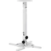 Hama 00220880 Beamer-Deckenhalterung Höhenverstellbar Boden-/Deckenabstand (max.): 635mm Weiß Hama 00220880 Beamer-Deckenhalterung Höhenverstellbar Boden-/Deckenabstand (max.): 635mm Weiß