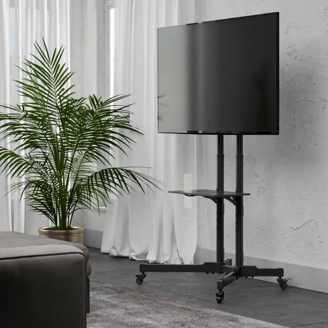 Ein Wohnzimmer mit einem grauen Sofa, einer Pflanze in einem Topf und einem schwarzen Fernseher auf einem Ständer vor weißen Vorhängen.