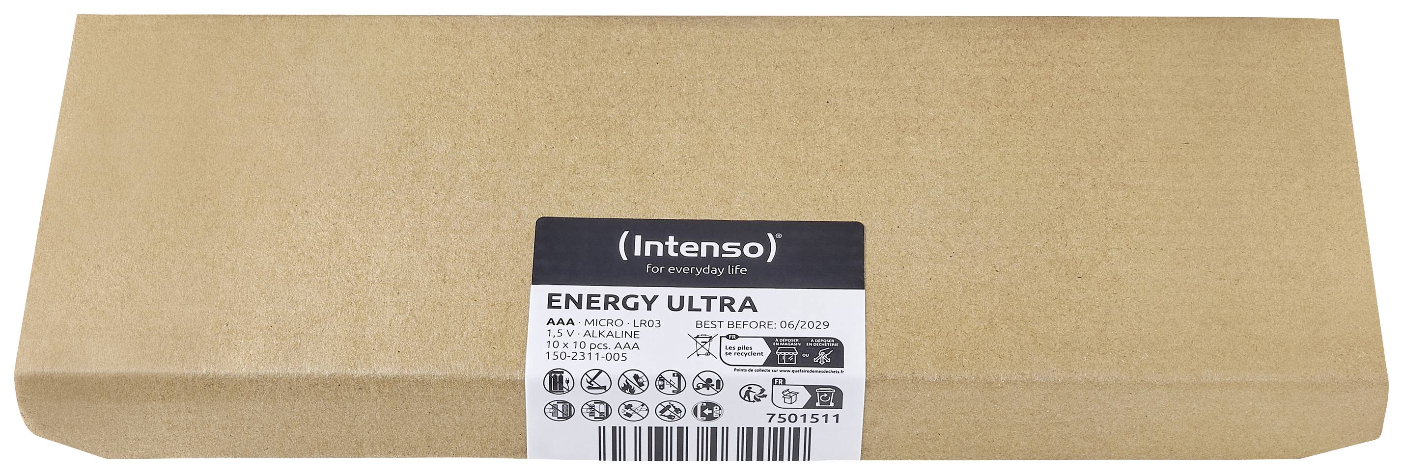 Intenso 7501511 Micro (AAA)-Batterie Alkali-Mangan 1250 mAh 1.5V 100St.