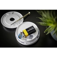 Intenso 7501451MP 9 V Block-Batterie Alkali-Mangan 560 mAh 9 V 10 St. Intenso 7501451MP 9 V Block-Batterie Alkali-Mangan 560 mAh 9 V 10 St.