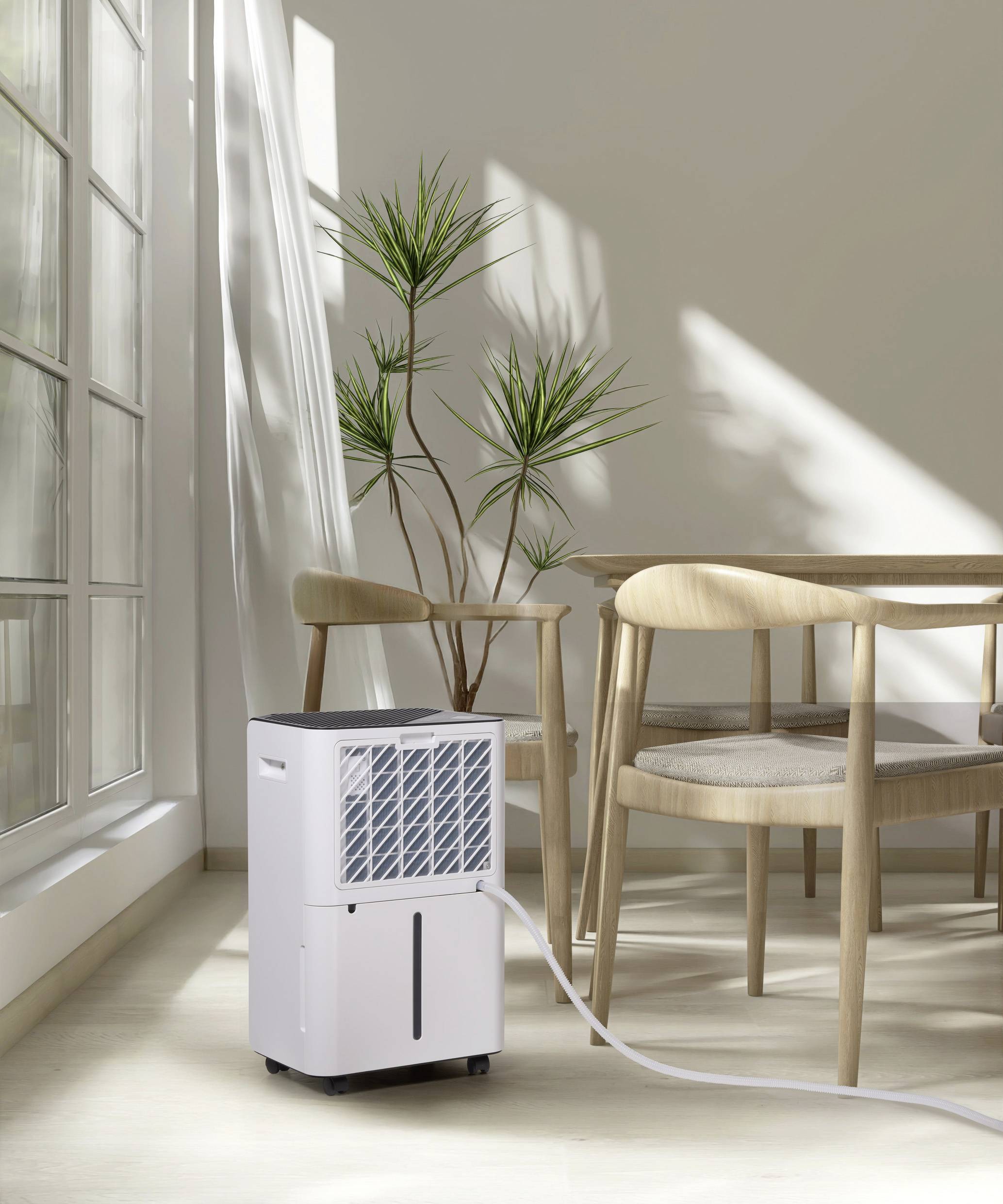 Luftentfeuchter in hellem Zimmer mit Holzmöbeln und Pflanzen im Sonnenlicht. Fenster wirft Schatten auf den Boden.