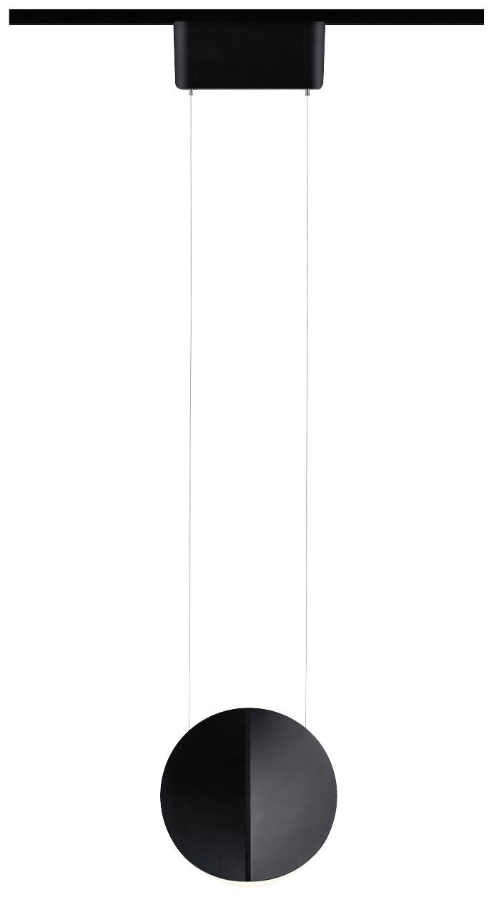 Paulmann Alejandro Hochvolt-Schienensystem-Leuchte URail 10W LED Schwarz (matt)