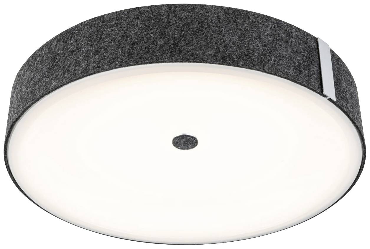 Runde Deckenleuchte mit schwarzem Rand und einem zentralen kleinen Kreis.