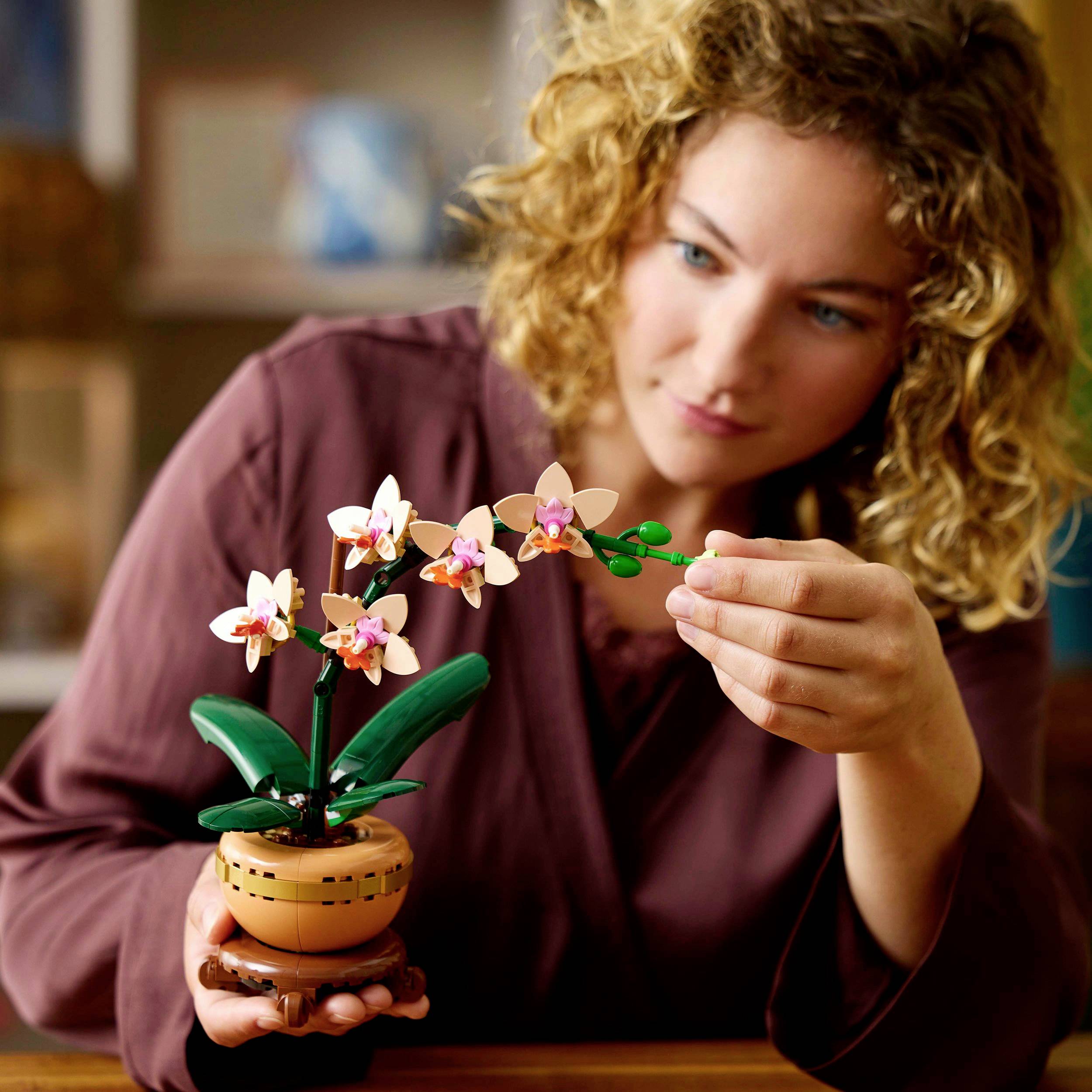 10343 LEGO® Botanicals™ Mini-Orchidee