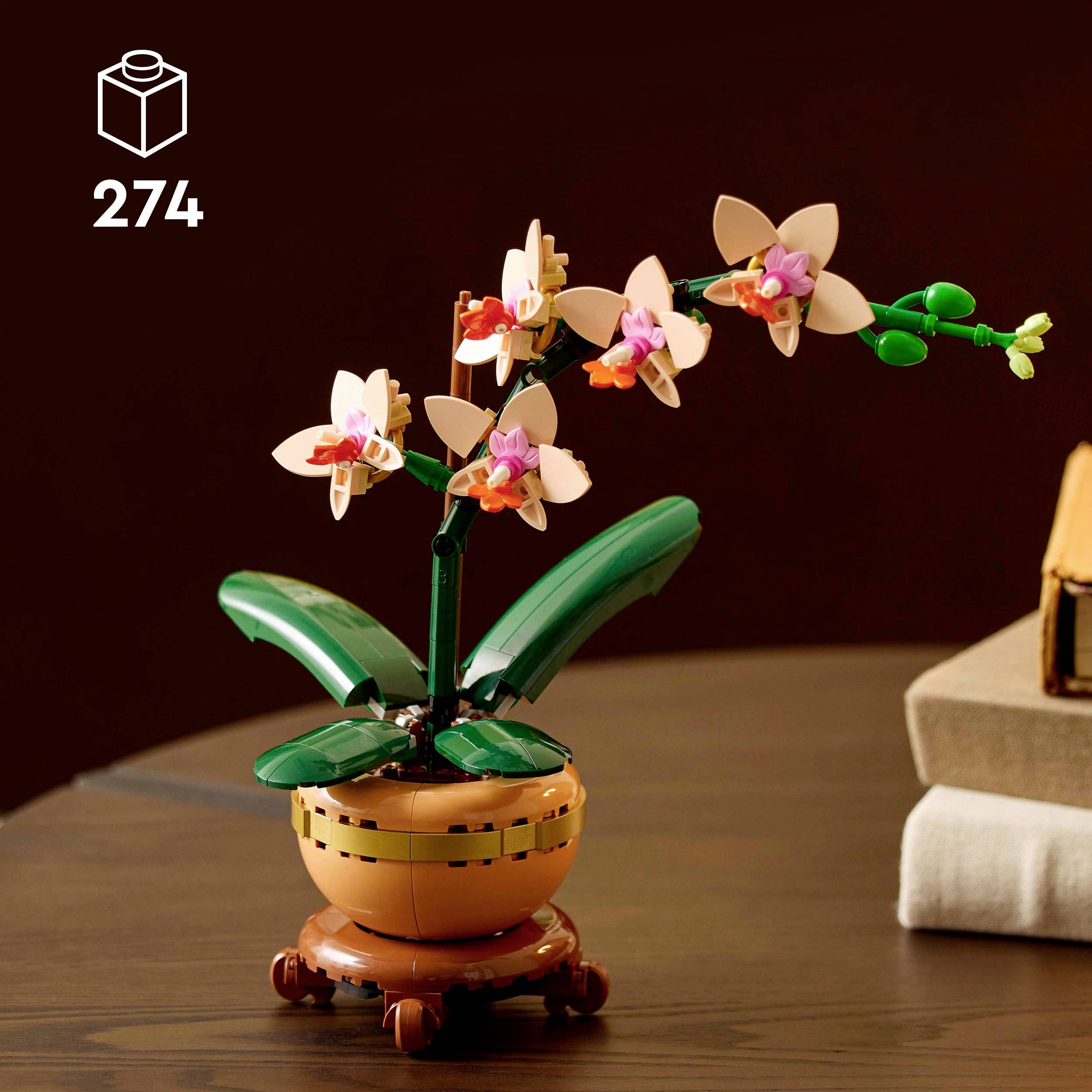 10343 LEGO® Botanicals™ Mini-Orchidee