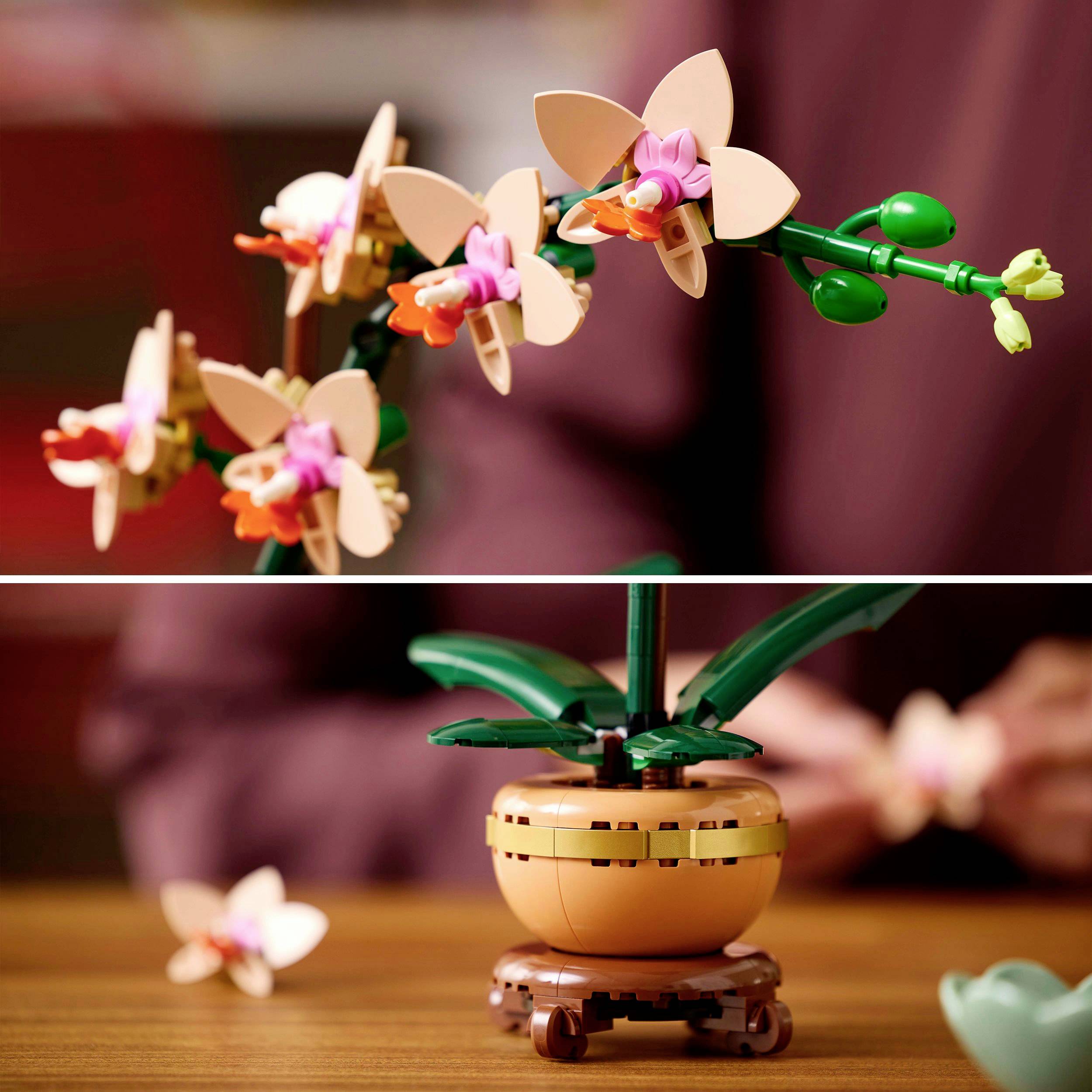 10343 LEGO® Botanicals™ Mini-Orchidee