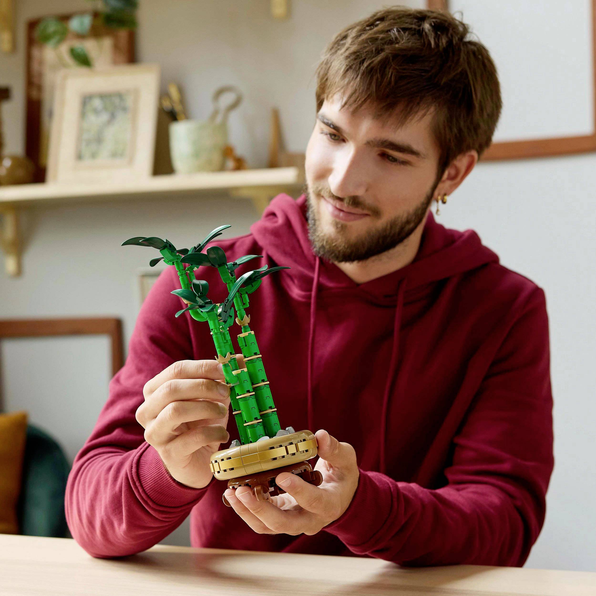 10344 LEGO® Botanicals™ Glücks-Bambus
