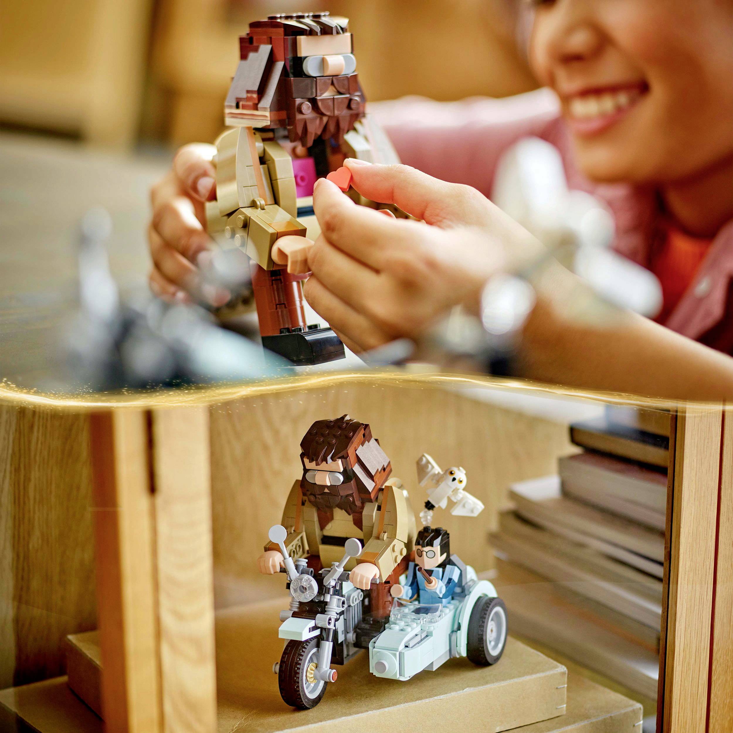 76443 LEGO® HARRY POTTER™ Hagrids und Harrys Motorradtour