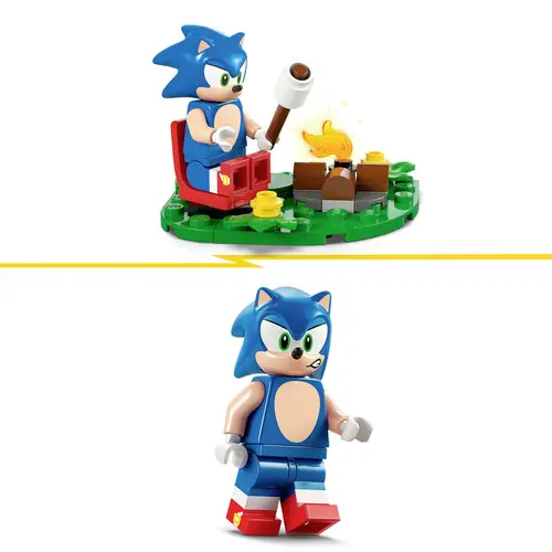 77001 LEGO® Sonic the Hedgehog Sonics Showdown am Lagerfeuer 77001 LEGO® Sonic the Hedgehog Sonics Showdown am Lagerfeuer