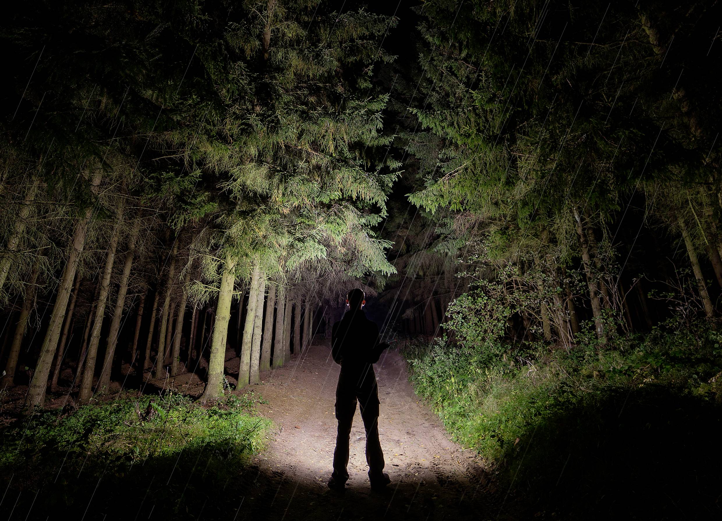 Person im dunklen Wald steht auf einem beleuchteten Weg, umgeben von hohen Bäumen. Lichtstrahlen durchbrechen das dichte Baumdach.