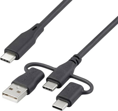 Renkforce USB-Ladekabel USB 2.0 USB-C® 3.00 m Schwarz RF-6615910