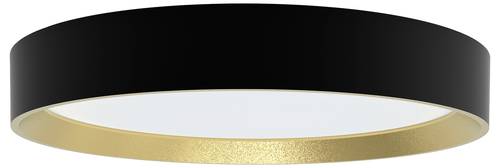 Philips 8720169301337 Hanno LED-Deckenleuchte LED 24W Schwarz, Gold