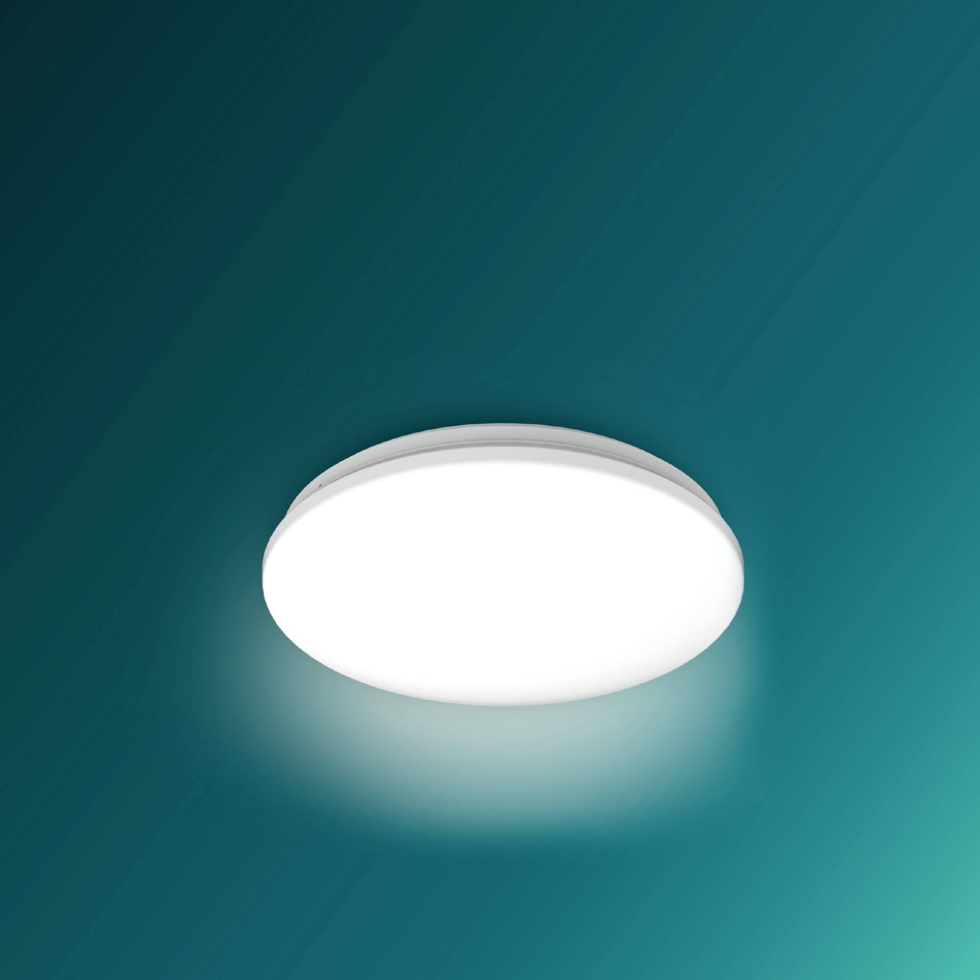 Ein kreisförmiges, strahlendes Licht auf einem dunkelgrünen Hintergrund. Es erzeugt einen Schimmer um sich herum.