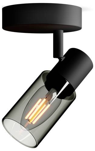 Philips Palms 8720169299276 Deckenstrahler E14 Schwarz