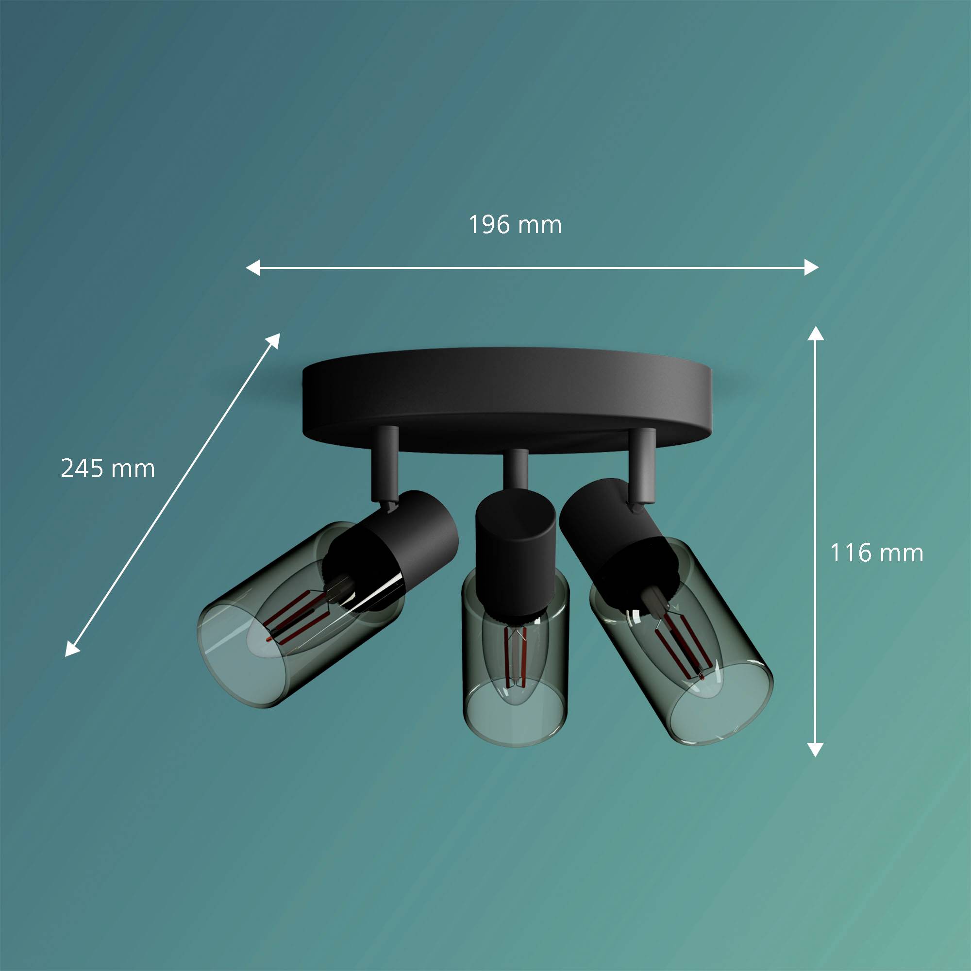 Philips Palms 8720169299351 Deckenstrahler E14 Schwarz