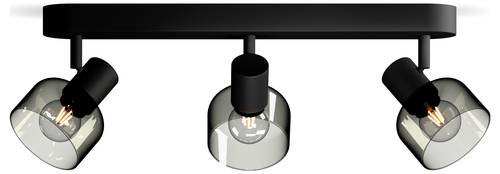 Philips Sleet 8720169299610 Deckenstrahler E14 Schwarz