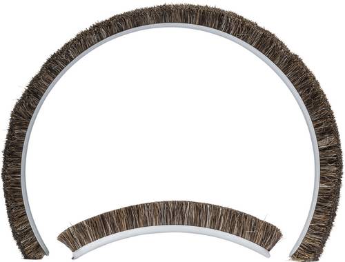 Bosch Accessories PRO Ersatzbürste 2608000883
