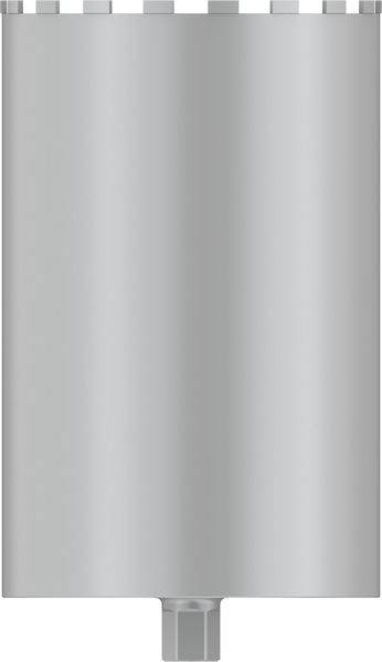 Bosch Accessories 2608601802 2608601802 Lochsäge 300mm 1St.