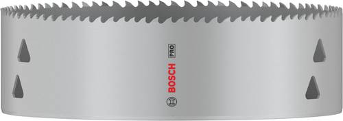 Bosch Accessories 2608901545 2608901545 Lochsäge 168 mm 1 St.
