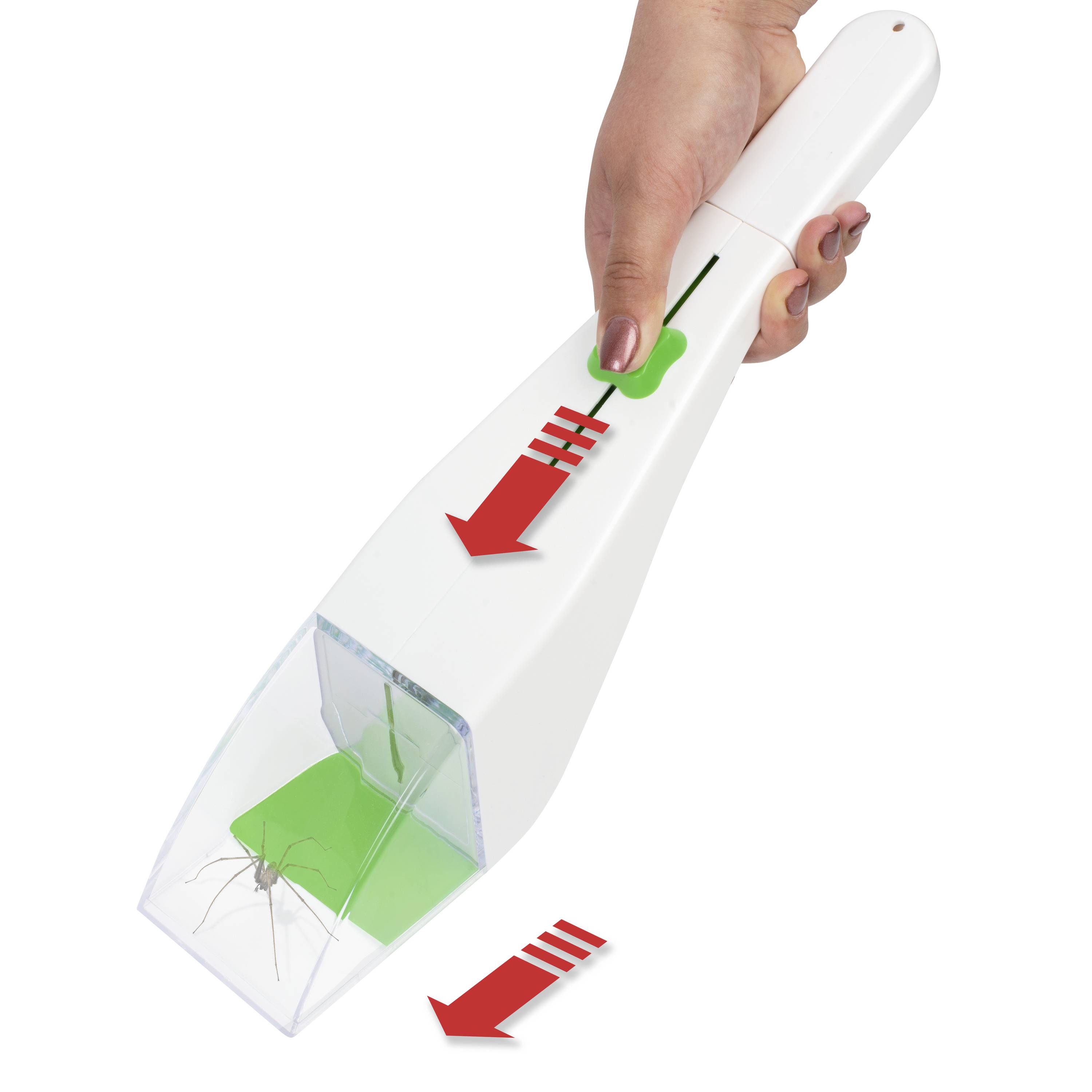 Eine Hand hält ein Gerät zum Einfangen von Insekten. Ein Spinnentier ist in einem transparenten Behälter eingeschlossen. Rote Pfeile zeigen die Bedienungsrichtung an.