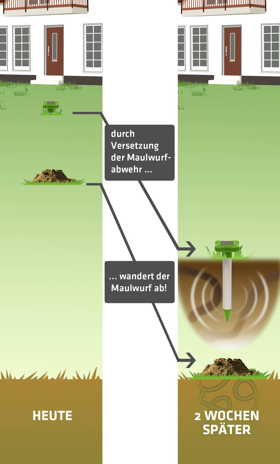 Ein Diagramm zeigt den Effekt eines Maulwurfabwehrgeräts. Links: Heute, ein Maulwurfshügel. Rechts: 2 Wochen später, kein Hügel.