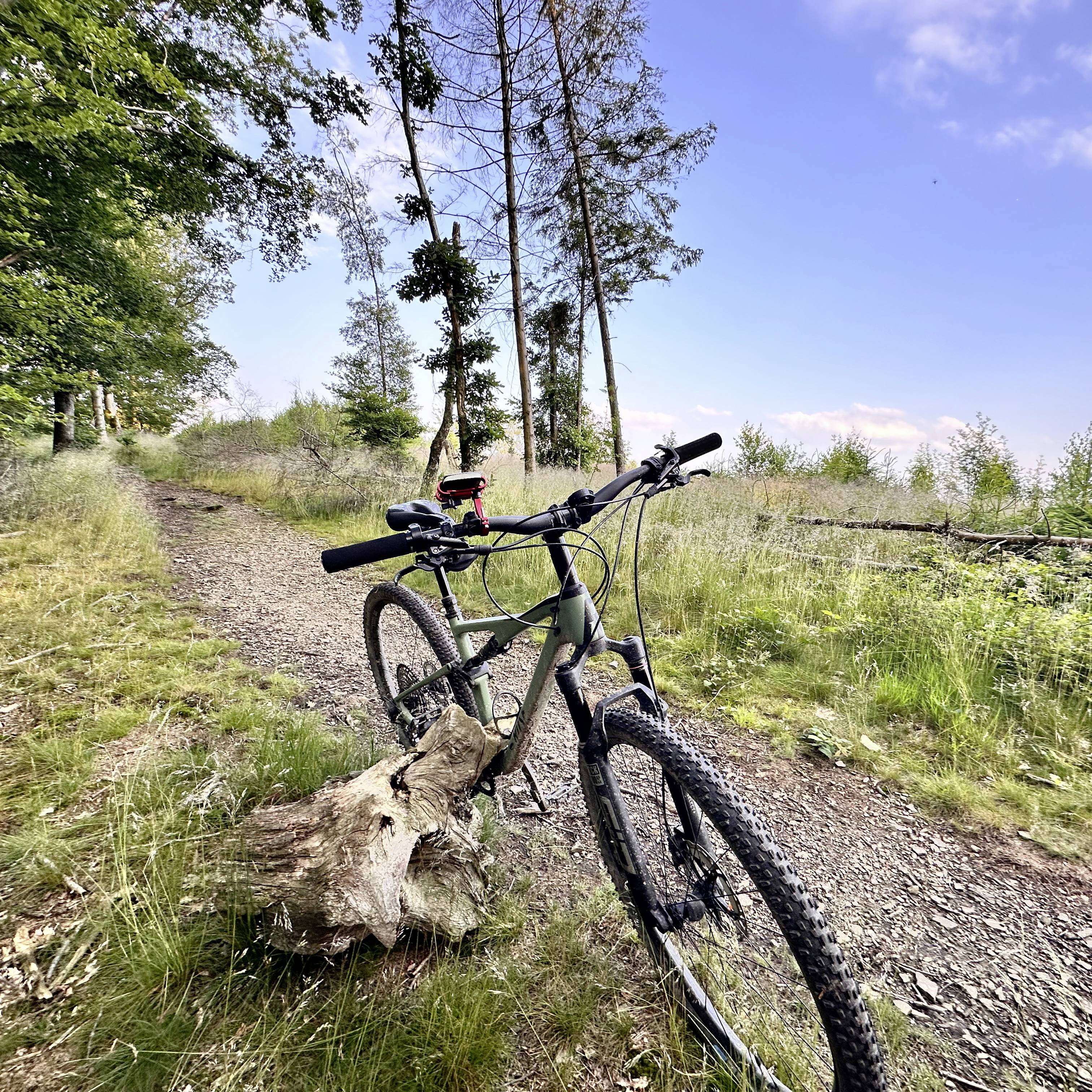 My Wall HR22L Handyhalterung Fahrrad Passend für Handy-Modell: Universal Breite (max.): 75mm