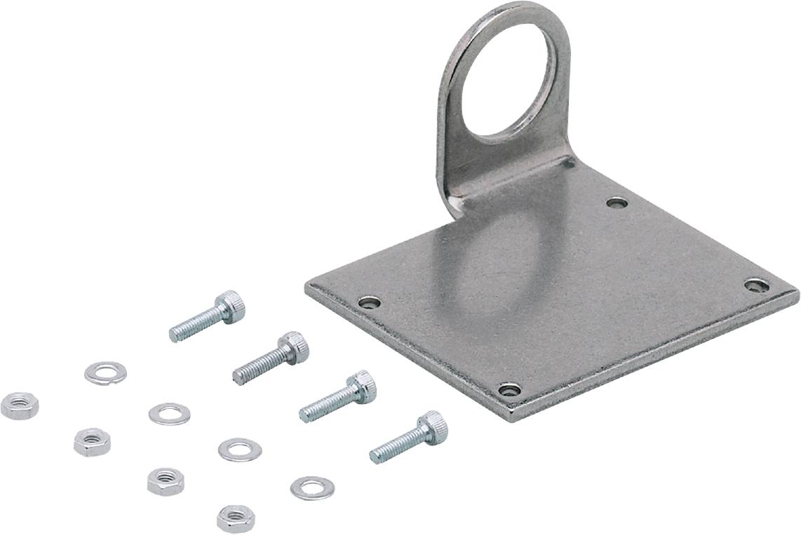 Metallische Montageplatte mit Öse und mehreren Schrauben und Unterlegscheiben.