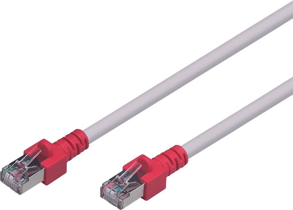 Ein rotes Ethernet-Kabel mit RJ45-Steckern an beiden Enden, geeignet für Netzwerkverbindungen.