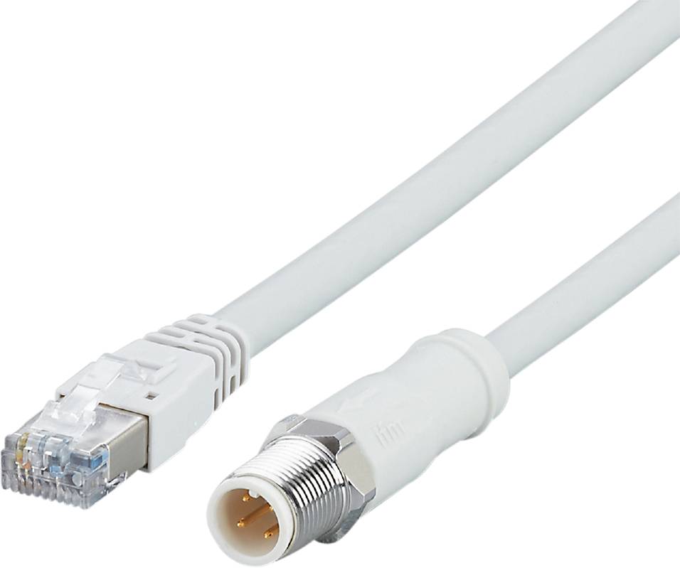 Ein Ethernet-Kabel, das mit einem Koaxialkabel verbunden ist, zeigt einen Adapter für Netzwerkinstallationen und -verbindungen.