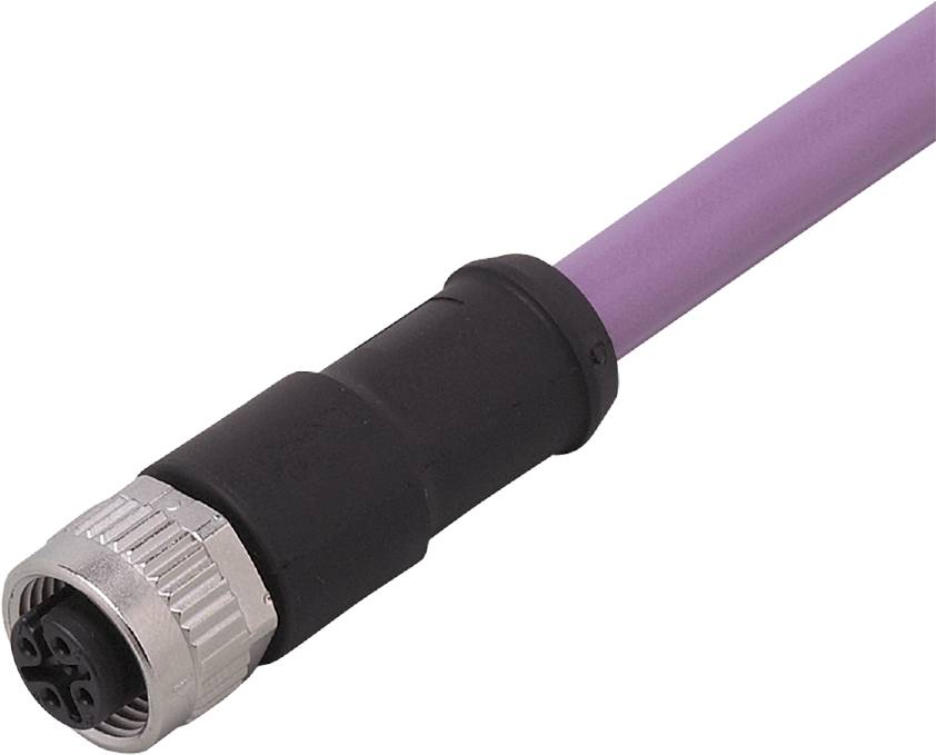 Lila Ethernet-Kabel mit schwarzem Stecker. Verwendet für Netzwerkanbindungen in IT-Installationen.