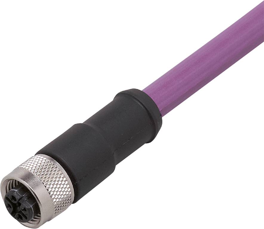 Lila Netzwerkkabel mit schwarzem Steckverbinder und Metallverschluss, Nahaufnahme.
