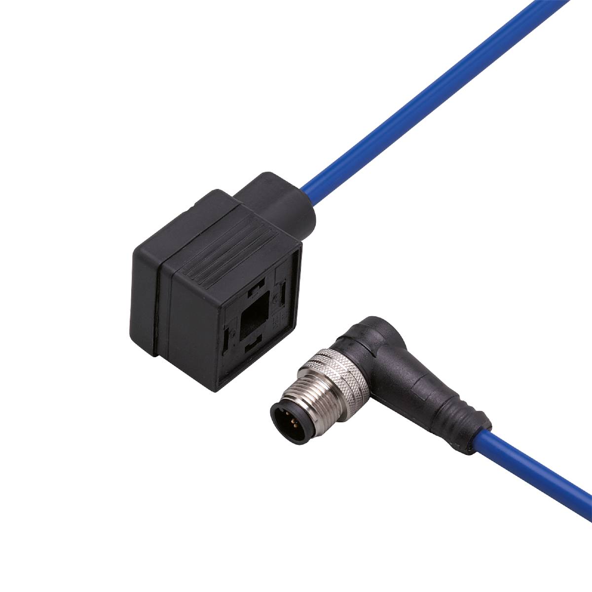 Ein blaues Kabel ist mit einem schwarzen Adapter verbunden. Der Adapter enthält eine Buchse, die möglicherweise für Netzwerkanschlüsse verwendet wird.