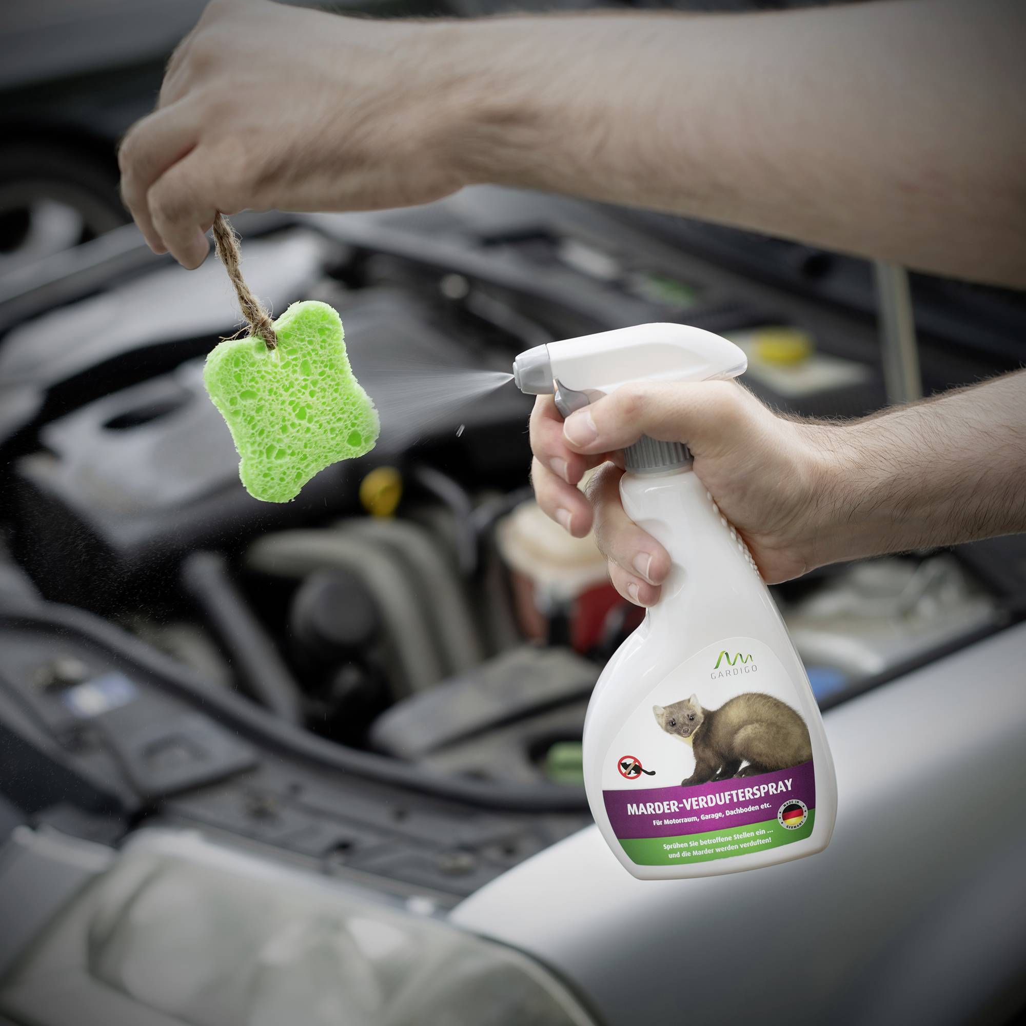 Eine Person hält 'Marder-Verdrußspray' und einen grünen Schwamm vor einem geöffneten Auto. Im Hintergrund ist der Motorraum zu sehen.