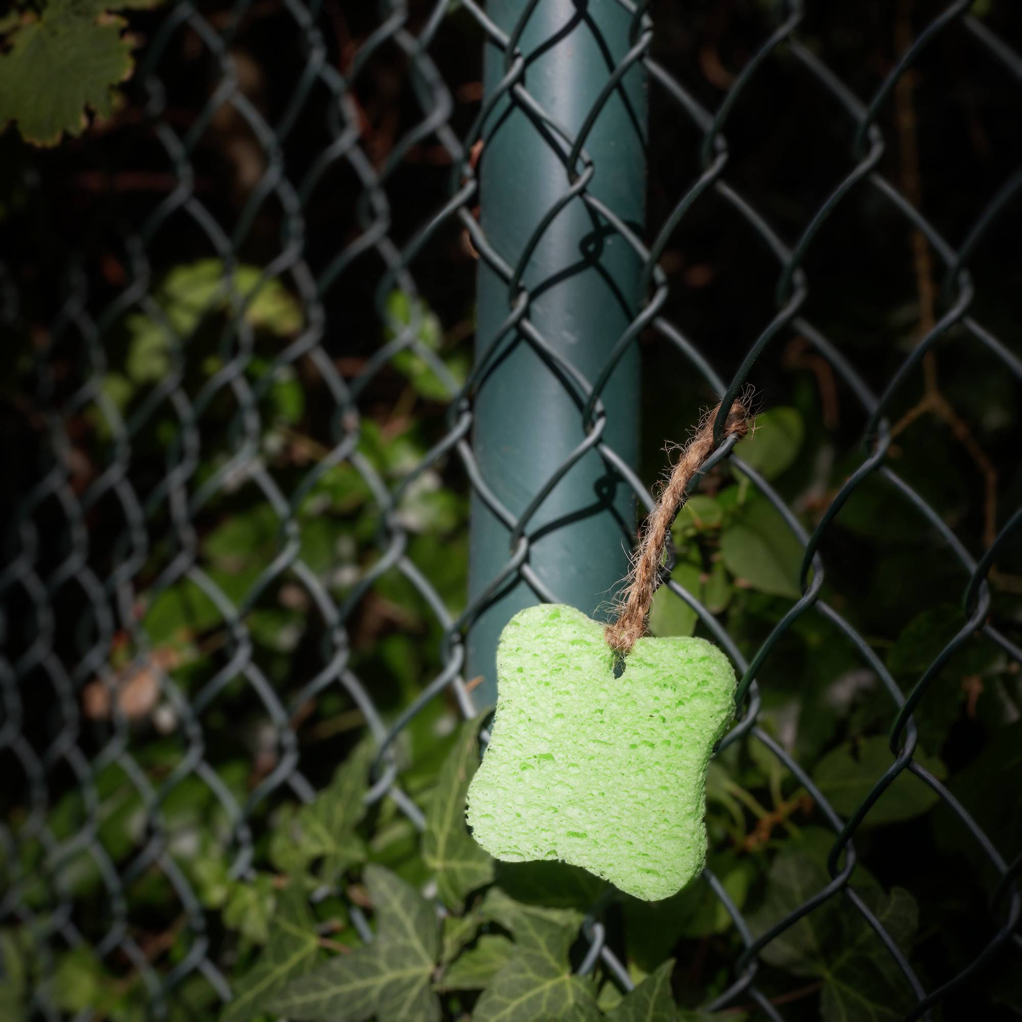 Ein grüner Schwamm in Form eines Hundeknochen hängt an einem Zaun. Im Hintergrund sind Pflanzen sichtbar.