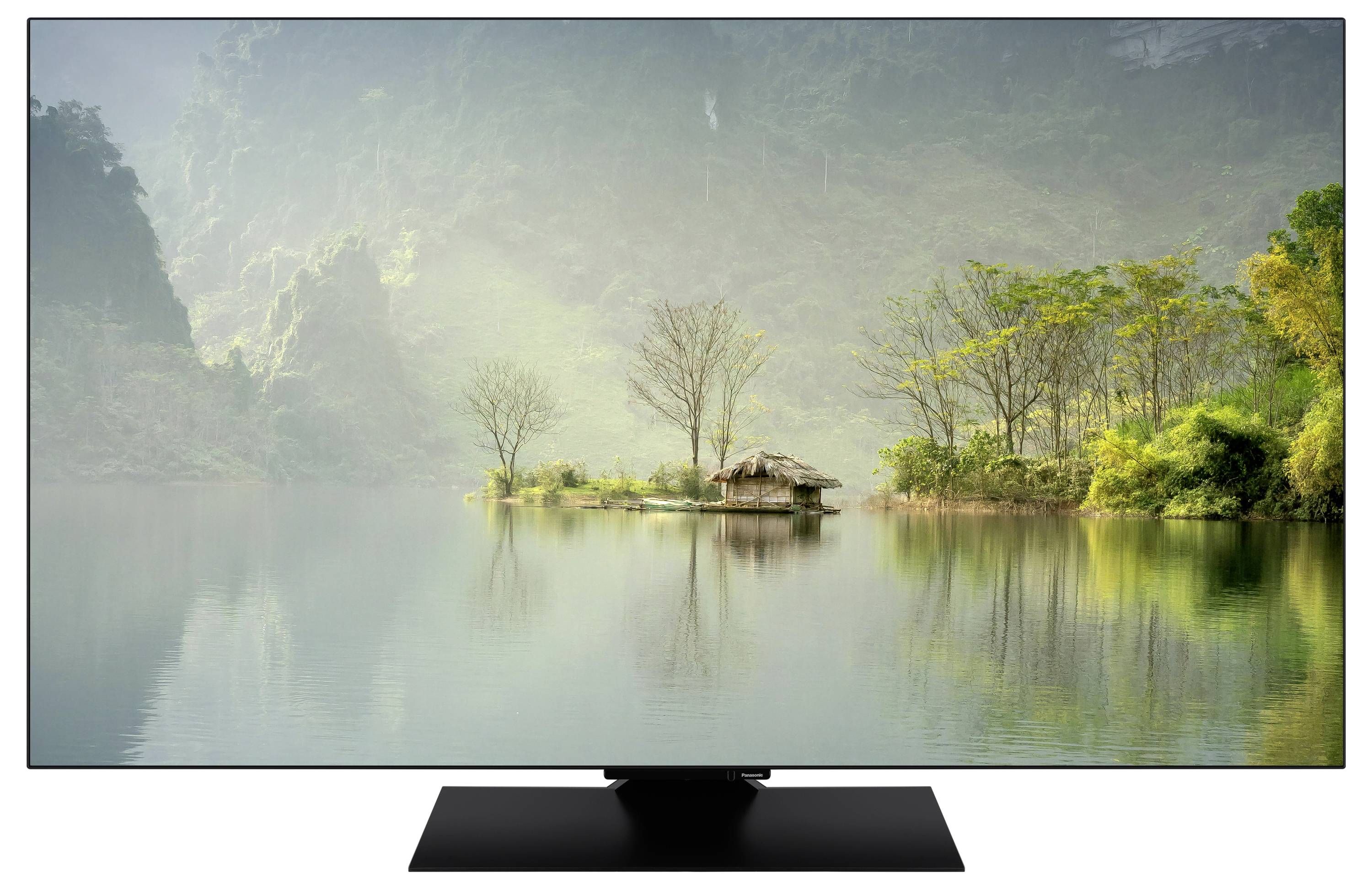 Panasonic TV-65Z80A OLED-TV 164 cm 65 Zoll EEK F (A - G) CI+, DVB-C, DVB-T, DVB-T2, DVB-S2, WLAN, UHD, Smart TV Schwarz