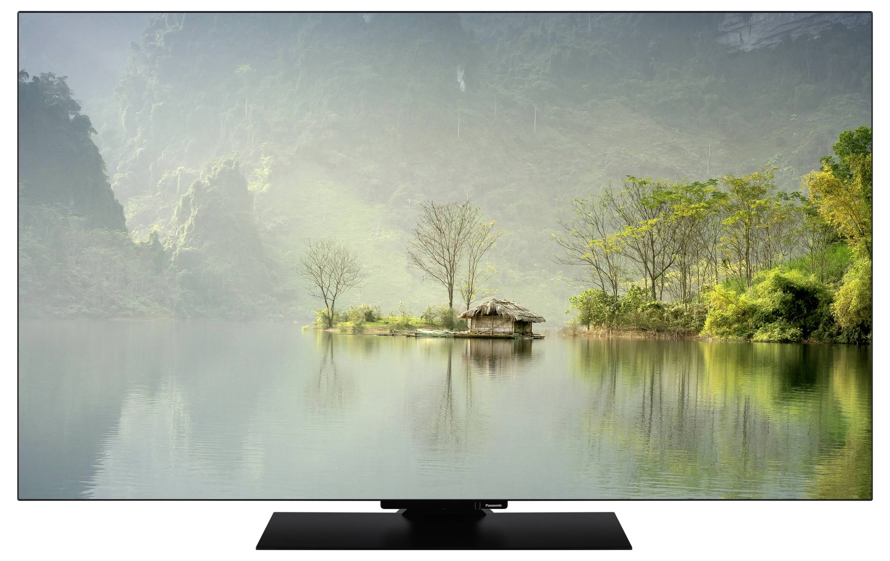 Panasonic TV-48Z80A OLED-TV 121cm 48 Zoll EEK F (A - G) CI+, DVB-C, DVB-T, DVB-T2, DVB-S2, WLAN, UHD, Smart TV Schwarz