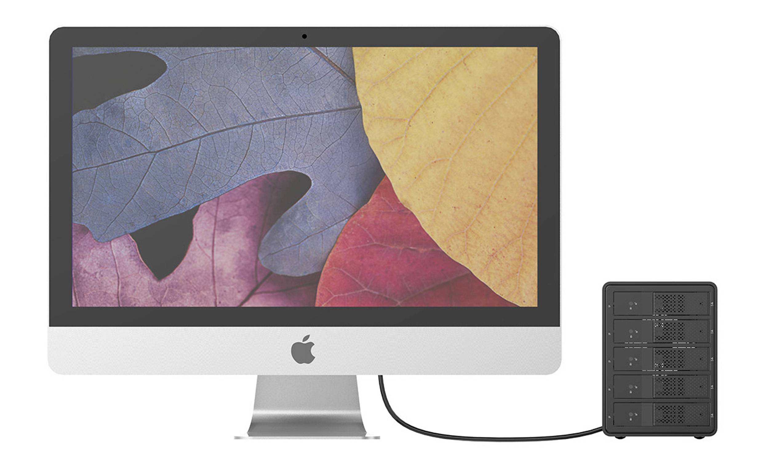 Ein Computerbildschirm zeigt ein buntes Blattmotiv. Daneben steht ein kleines, schwarzes Gerät, das mit dem Bildschirm verbunden ist.