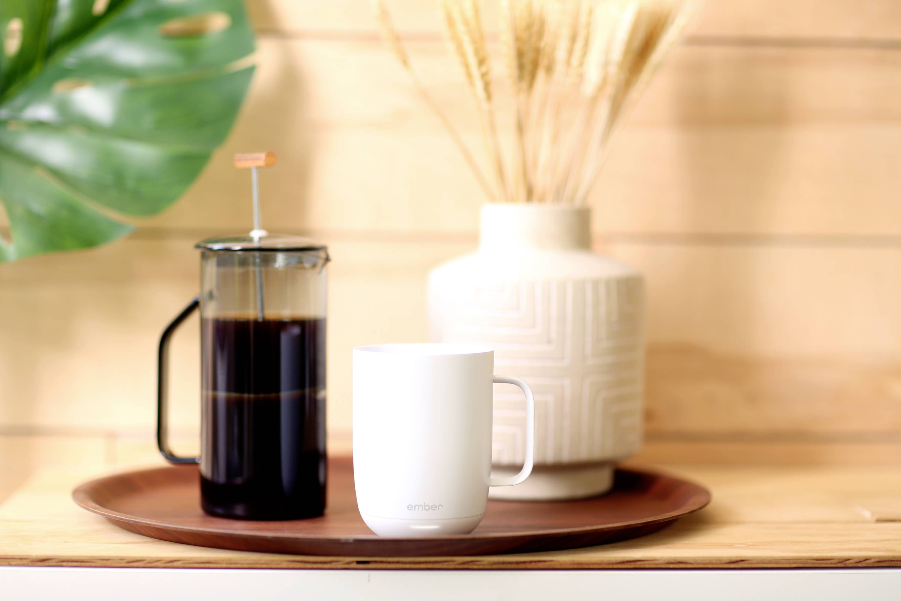 Eine weiße Tasse und eine Pressstempelkanne mit Kaffee stehen auf einem Tablett. Im Hintergrund ein weißer Keramiktopf mit dekorativen Zweigen.